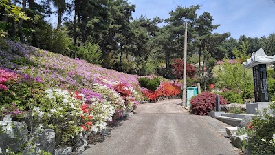 Photos of 꽃동네대학