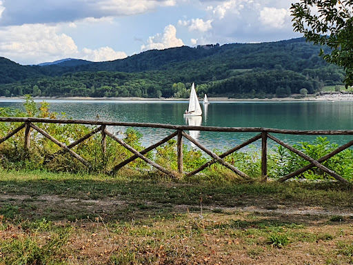 Bosco del Turlaccio
