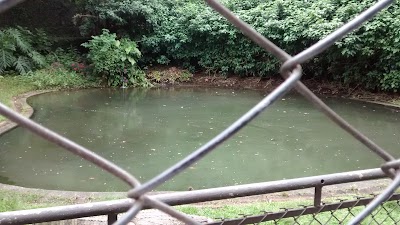 Photos of Parque das Hort&ecirc;nsias