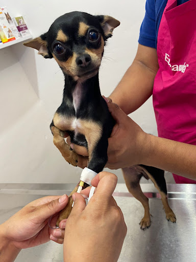 AniMALL.com.mx petshop, farmacia y veterinaria