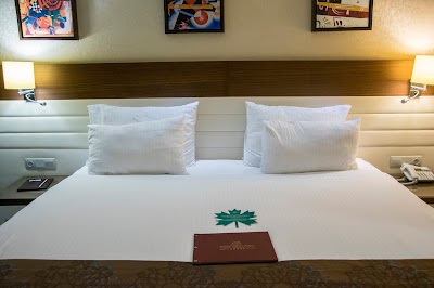 Photos of The Merlot Hotel