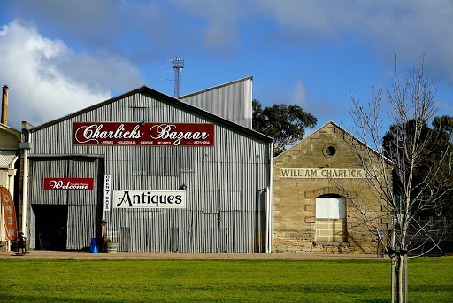Charlick's Bazaar - Visual