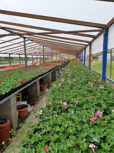 Azienda Agricola Savona Anna Maria - Thumbnail