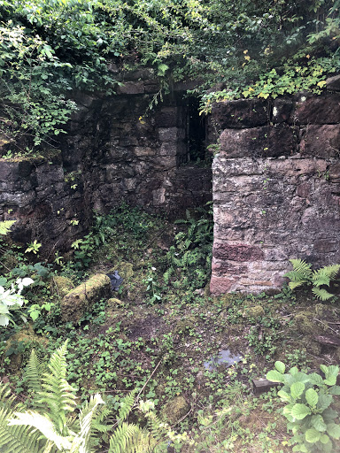 Sauchie Tower - Thumbnail