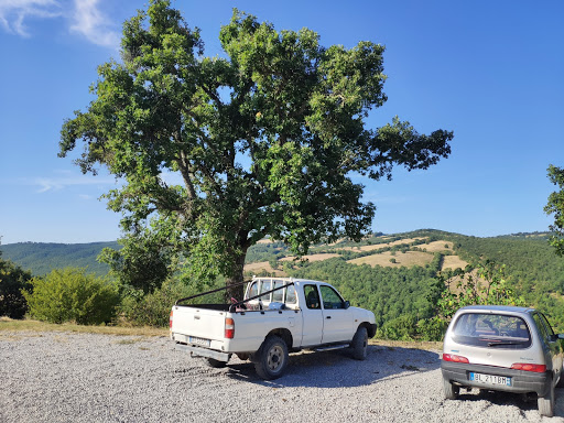 agriturismo Podere le Serre - Thumbnail