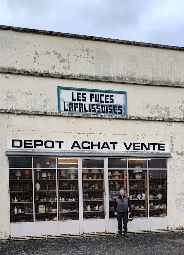 Les Puces Lapalissoises