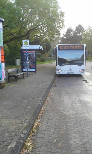Celle Marienwerderallee - Thumbnail