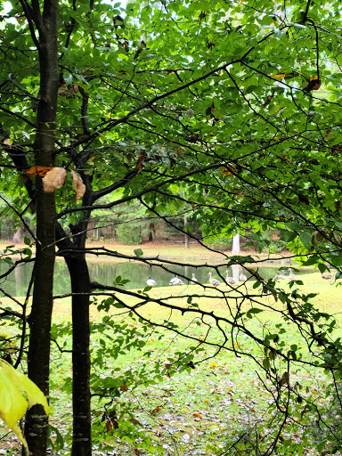 Lynch's Woods Park Gallery - United States