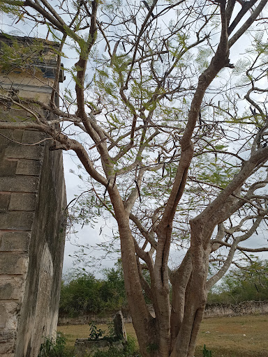 Hacienda San Juan Koop - Thumbnail