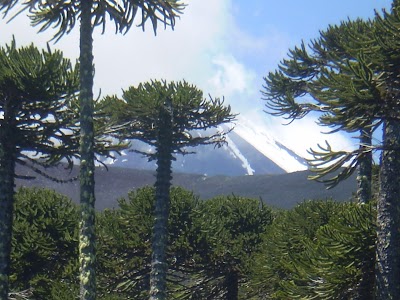 Photos of Los Paraguas National Park