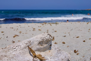 Photo n°83 de village Camping de l'Ostriconi à Palasca (Location d'appartement de vacances)