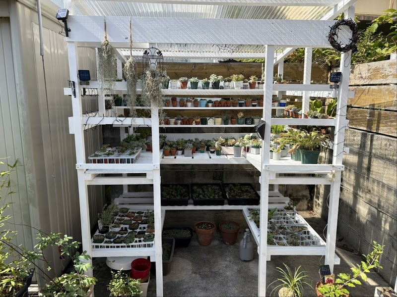 ワッフルボックス32