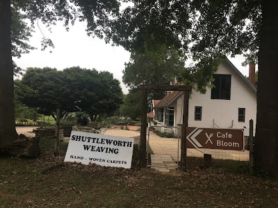Photos of Cafe Bloom