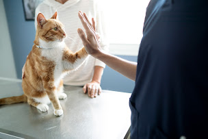 Photo n°28 de Clinique la Croix Bleue à Bagnols-sur-Cèze (Clinique vétérinaire)