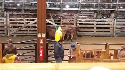Photos of Ferias Araucan&iacute;a, Local Freire.