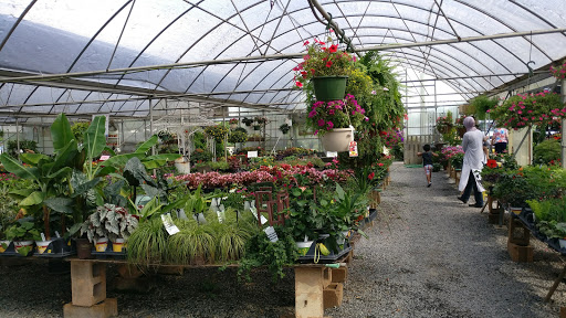 Lex Plant Farm & Garden Center - Thumbnail