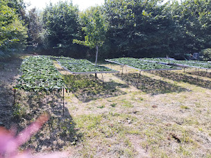 Photo n°4 de Algues bio du sillion à Pleubian (Épicerie fine)