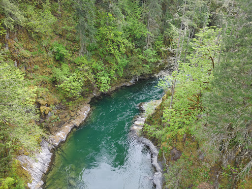 Cowichan River Provincial Park - Thumbnail