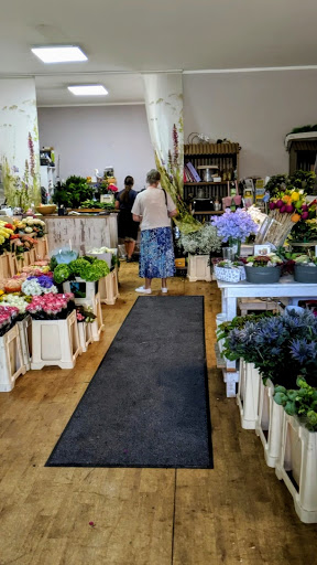 Blumen Jeub