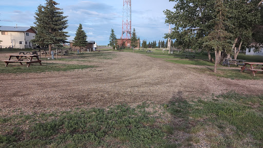 A1 Camp Site