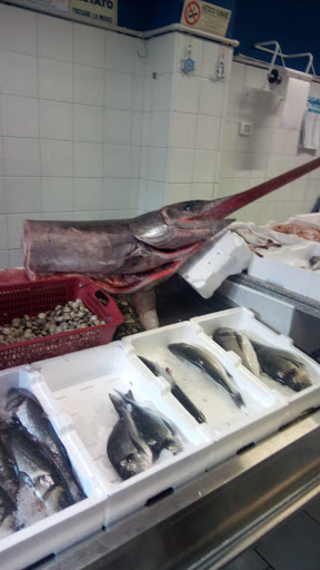 Pescheria Shark - Thumbnail
