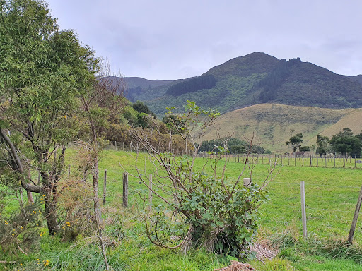Cross Creek, Incline Walkway - Thumbnail