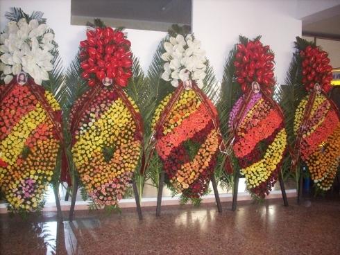 Agenzia Funebre Patisso Rocco