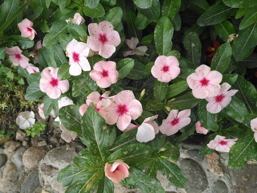 Planxisteria i Pintura La Torre S L Gallery - Spain