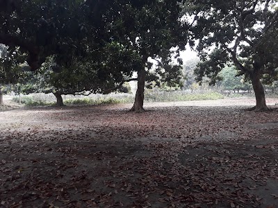 Photos of Sheikhhati Central Jame Masjid