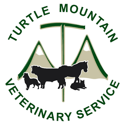 Turtle Mountain Veterinary Services