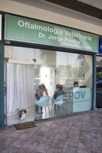 veterinary-care