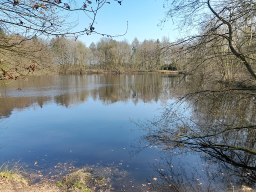 Waldbühne Ellerhoop