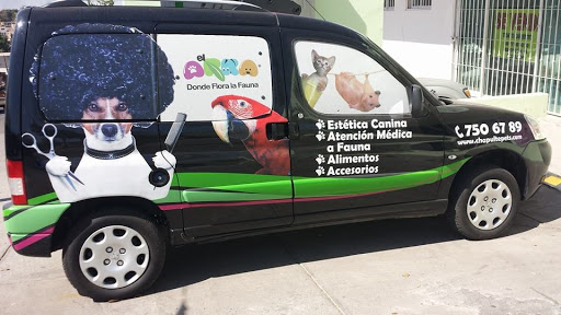 Hospital Veterinario Chapultepets Congreso
