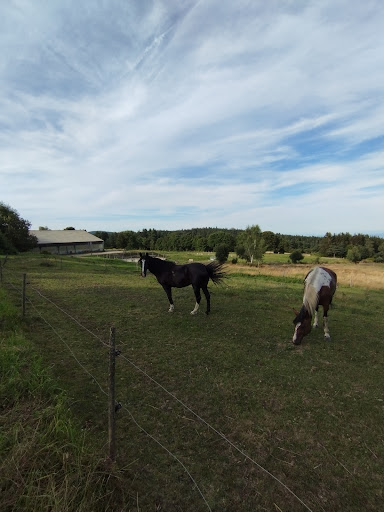 CENTRE EQUESTRE LES ECRINELLES - Thumbnail