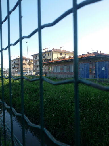 Palarile - Visual