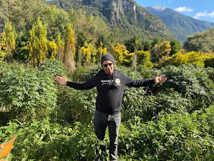 Photo n°27 de CBD ALENCON - SATEAVA - Fleurs CBD - Huile CBD - Résine CBD à Alençon (Centre de bien-être)