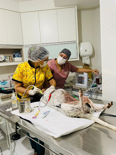 UNIPET Centro Veterinário