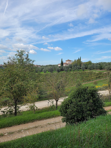 Firenzeshuttle - Visual
