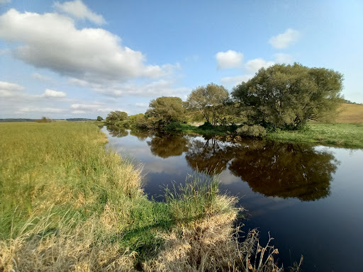 Theresa Marsh Wildlife Area - Thumbnail