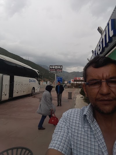 Photos of G&uuml;m&uuml;ş Pestil K&ouml;me