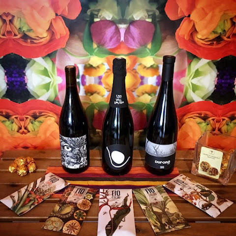 LUCIO/Wine Shop by null