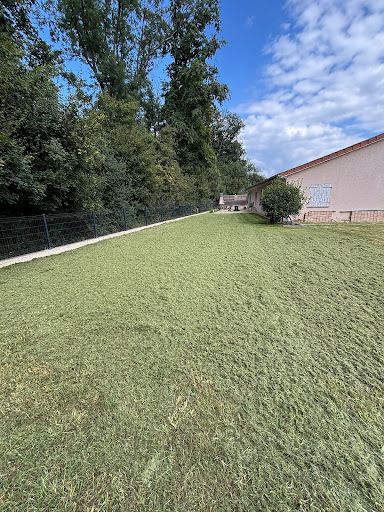 🌼 Entretien & Création de Jardin 🍀 Duvernay Paysage s’occupe de tout !