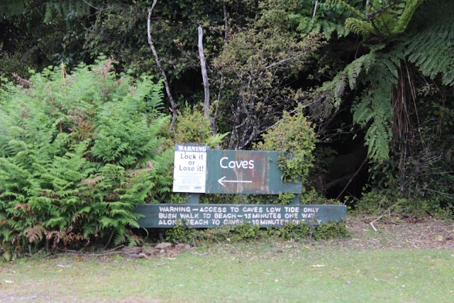 Cathedral Caves N.Z.