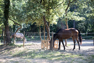 Photo n°3 de L'Etrier De L'Uzège à Vallabrix (Centre équestre)