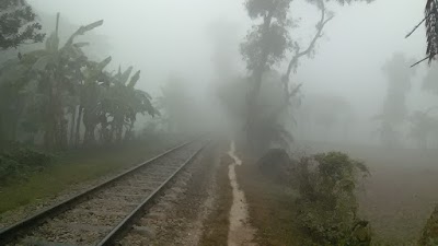 Photos of Jalu Bapari Bari