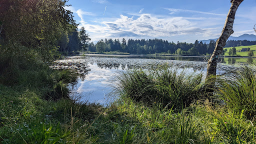 Kapwein - Visual