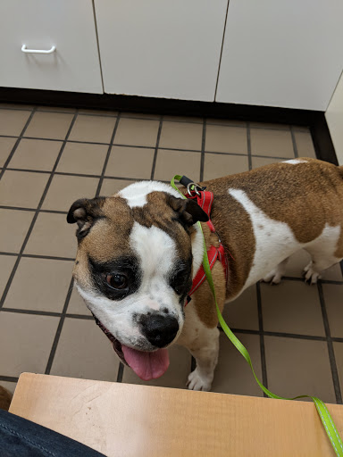 Allegheny South Veterinary Services - Thumbnail