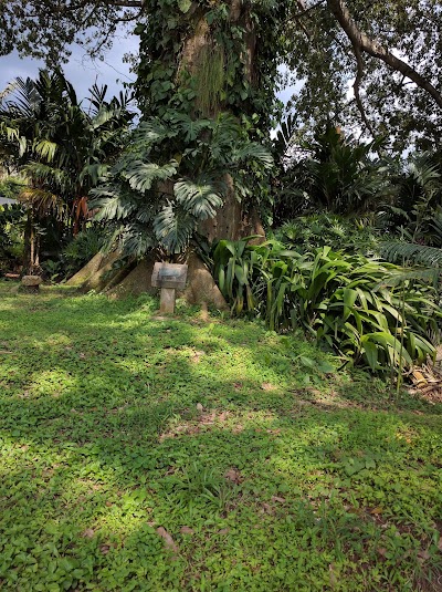 Photos of Vivero La Concha