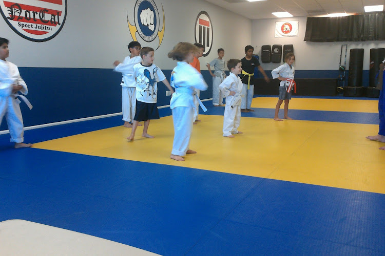 Innovative Martial Arts - brazilian jiu jitsu in Rocklin, California