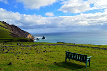 Calshot Harbour, Tristan da Cunha, St Helena, Ascension and Tristan da Cunha